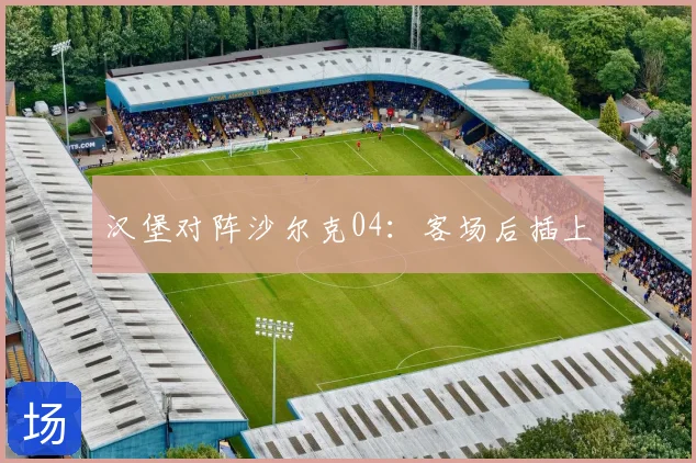 汉堡对阵沙尔克04：客场后插上